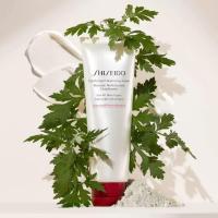 ราคา Clarifying Foam Cleanser for Oily Skin, Deep Cleans Pores Non-Drying, Japanese 125ml (54202718141)