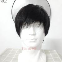 ราคา วิกผมชายเต็มหัว ผมแท้100% (29988763406)