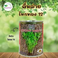 ราคา เมล็ดคื่นฉ่าย ไทรทอง 12 ขนาด 60กรัม ตราภูเขาทอง (19793734129)