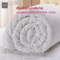 ราคา ส่งต่อ ไส้ผ้านวม perico ขนาด 3.5 ฟุต (25716197318)