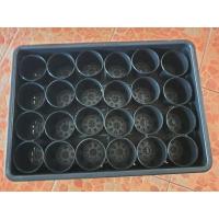 ราคา ชุดถาดเพาะชำ-ถาดมีรูระบาย+กระถางกลม 3" 24 ใบ (8759090148)