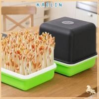 ราคา KAELIN 4 ชิ้น/เซ็ต Hydroponic กล่องถั่วลิสง Sprout ถาดในครัวเรือนถั่วถั่วลิสงเติบโตหม้อการงอก (51106641483)