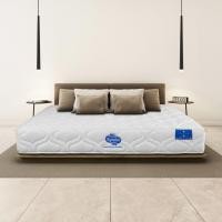 ราคา SB Design Square ที่นอน SYNDA รุ่น Posture Blusio ขนาด 5 ฟุต แถมฟรี! ชุดเครื่องนอน 11 ชิ้น (24958007785)