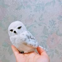 ราคา ตุ๊กตา นก นกฮูก แฮร์รี่ พอตเตอร์ Harry Potter (27850121372)
