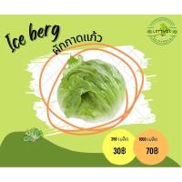 ราคา เมล็ดผักสลัด: ผักกาดแก้ว(ไอซ์เบิร์ก) (16292866379)