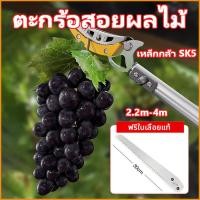ราคา กรรไกรตัดกิ่ง กรรไกรตัดผลไม้ SK5 การเก็บผลไม้ (กรรไกรยาว 1.4-4 เมตร) กรรไกรตัดหนีบผลไม้ด้ามยาว กรรไกรเก็บผลไม้ ตัดกิ่งไม้เร็ว กรรไกรตัดกิ่งไม้สูง อุปกรณ์ตัดแต่งกิ่งมืออาชีพ การตัดแต่งกิ่ง กรรไกรตัดกิ่