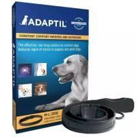 ราคา ADAPTIL for Dog ช่วยลดอาการตื่นเต้นตกใจของสุนัข (27326573335)