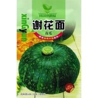 ราคา เมล็ด ฟักทองญี่ปุ่นผิวเขียว 25-30 เมล็ด Japanese Pumpkin สายพันธุ์ OP (50206730488)