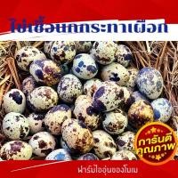 ราคา ไข่เชื้อนกกระทาเผือก สด ใหม่ (9458332322)