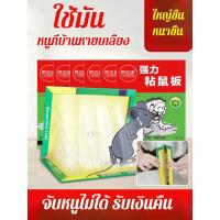 ราคา 【กาวเยอรมัน แรงดักหนูทันที】 แผ่นดักหนูกาวเหนียวสำหรับบ้าน ดักหนู/กาวดักหนู/แผ่นดักหนู (27544538582)
