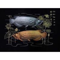 ราคา ภาพผ้ากำมะหยี่ ปลามังกรเงินมังกรทอง ขนาด 18x24 นิ้ว ภาพสำหรับใส่กรอบ มี 2 สี (22183411809)