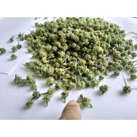ราคา หนามโคกกระสุนเมล็ด50กรัม ตากแห้งสะอาดออแกนิค100% (21346676626)
