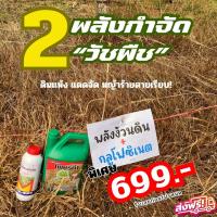 ราคา ยาฆ่าหญ้าแบบดูดเผาไหม้สูตรอินทรีย์ ผลิตจากธรรมชาติ เพชรดำพลังง้วนดิน2แกลลอน แถมกลูโฟซิเนต2ขวด (23484004093)