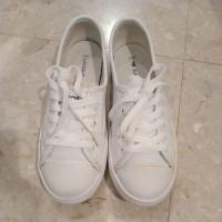 ราคา รองเท้าผ้าใบยี่ห้อ Lacoste แท้ (มือสอง) (25032677305)