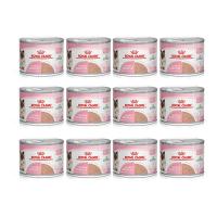 ราคา (12กระป๋อง) ROYAL CANIN BABYCAT CAN อาหารเปียก ลูกแมวอายุ 1-4 เดือน (49454225594)