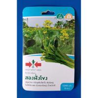ราคา [ศรแดง] ผักซองพิเศษ เมล็ดผักกาดกวางตุ้งดอก สองฝั่งโขง (21583616908)