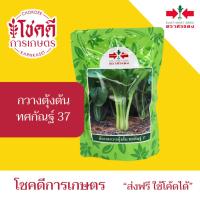 ราคา กวางตุ้ง ทศกัณฐ์ 37 เมล็ดพันธุ์ กวางตุ้งต้น ตรา ศรแดง บรรจุ 500 / 100 กรัม (ล๊อตใหม่บรรจุใส่ถุง) (54100746486)