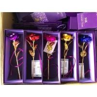 ราคา >29<ดอกกุหลาบทองคำ (903402842)