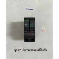 ราคา Chang เมน ลูกย่อย 2P เซอร์กิตเบรคเกอร์ ตราช้าง 16A / 20A / 32A / 50A / 63A (2499856736)