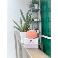 ราคา Harrogate Sulphur Soap สบู่ซัลเฟอร์ ฮาโรเกต 50g สีชมพู (Victorian Roseกลิ่นกุหลาบ) (25671940337)