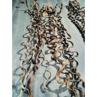 ราคา เครือบันไดลิงสด1 ชุดได้ 2 ชิ้น100 บาทยาว 60 cm (56656923474)