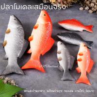 ราคา ปลาปลอม ปลา สัตว์น้ำ ตัวอย่างปลา ตกแต่งร้านอาหาร ตกแต่งบ้าน ของเล่น พร๊อพถ่ายรูป โมเดลปลา งานยางPU (20484737358)