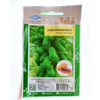 ราคา มะละกอฮอลแลนด์ PAPAYA HOLLAND เจียไต๋ (40223193272)