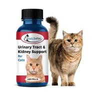ราคา Urinary tract & Kidney CAT อาหารเสริมแมว บำรุงไตแมว กระเพาะปัสสาวะแมว ผลิตอเมริกา (24861140277)