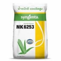 ราคา NK 6253 เมล็ดพันธุ์ข้าวโพดเลี้ยงสัตว์ (17825981376)