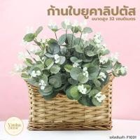 ราคา ใบยูคาลิปตัสปลอม F1031 ใบกลม ใบไม้ประดิษฐ์ ก้านยูคาลิปตัส ใบไม้ปลอม ต้นไม้มงคล ใบยูคา ของตกแต่งห้อง พร๊อพถ่ายรูป (49601124301)