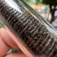ราคา ตะกรุดสาริกาโสฬสมงคล(ตะกรุดเศรษฐี)หลวงพ่อปาน วัดคลองด่าน ความยาวหนึ่งองคุลี 2 นิ้วเศษๆ สุดหายาก (19188824292)