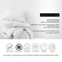 ราคา หมอนหนุน Easy living ... Pillow ... Selected by Mahdum (20652666978)