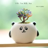 ราคา น่ารักน่ารักอ้วนหมีการ์ตูนสัตว์ขนาดเล็กทาสีรูปพิเศษระบายอากาศฉ่ํากระถางดอกไม้สุดน่ารักเครื่องประดับงานฝีมือ (41529739678)