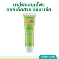 ราคา ยาสีฟันสมุนไพรผสมสารสกัดจากดอกเก๊กฮวย อิชินาเซีย กิฟฟารีน (24065246774)