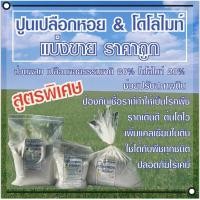 ราคา ปูนขาวเปลือกหอย&โดโลไมท์ (25063237812)