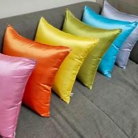ราคา หมอนอิงผ้าไหมเทียม (หมอนพร้อมปลอก) (49945206)