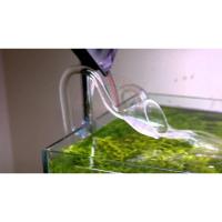ราคา Glass Lilly Pipe outflow แก้ว 12mm 16mm เอ้าโฟลแก้ว เอ้าโฟล inflow outflow ลิลลี่ คุณภาพดี Reef Thx Life For Aquarium (23601985648)