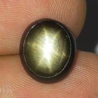 ราคา พลอย แบล็ค สตาร์ แซฟไฟร์ ดิบ ธรรมชาติ แท้ ( Unheated Natural Black Star Sapphire ) หนัก 6.39 กะรัต (55457029539)