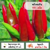 ราคา พริกช่อจีน 200 เมล็ด (42328527865)