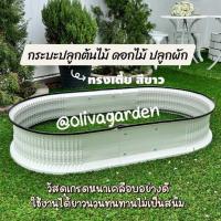 ราคา กระบะปลูกผัก กระถางปลูกต้นไม้ แปรงปลูก ดอกไม้ กระถางจัดสวนสไตล์อังกฤษ (26804816804)
