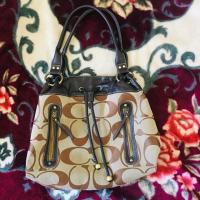 ราคา กระเป๋าcoachทรงขนมจีบ (6902738633)