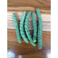 ราคา ไม้อวบน้ำ หน่อเก๋งจีน ดอกแดง (เด็ดสด) 5 หน่อ 20 บาท (7951607558)