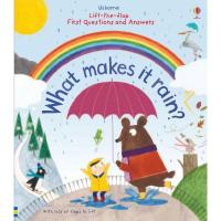 ราคา What makes it rain ? ( Lift-the-Flap First Questions and Answers) (6963648241)