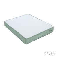 ราคา INDEX LIVING MALL ที่นอน รุ่นฟอเรสต์เตอร์ - สีขาว/เขียว (28178589800)
