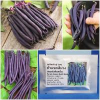 ราคา เมล็ดพันธุ์ ถั่วแขกสีม่วง (Purple Queen Bush Bean Seed) บรรจุ 20 เมล็ด คุณภาพดี ราคาถูก ของแท้ 100% (3779749585)