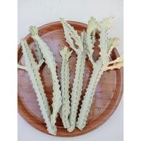 ราคา ยูโฟเบียแลคเทียขาว (Euphorbia lactea white qhost cactus) (27151459511)