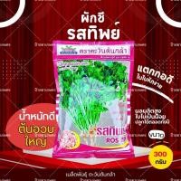 ราคา รสทิพย์ 300 กรัม ผักชี ตราตะวันต้นกล้า เมล็ดพันธุ์ผักชี เมล็ดผักชี ผักสวนครัว (52601057451)