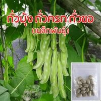 ราคา เมล็ดถั่วบุ้ง ถั่วครก ถั่วขอ ซองละ 20 เมล็ด ## เมล็ดพันธุ์ ถั่วบุ้ง ถั่วบุง ผักสวนครัว (46055838398)