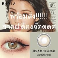 ราคา พร้อมส่งคอนแทคเลนส์รายวัน Revia สี Private 01 (5836476481)