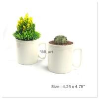 ราคา กระถางต้นไม้เซรามิค สำหรับปลูกแคคตัส (4368599327)